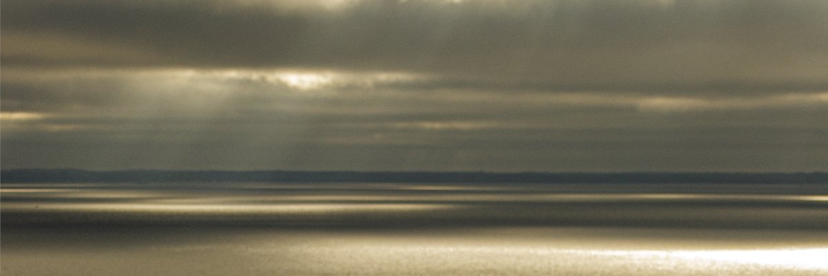 FaZeFurran's profile banner image