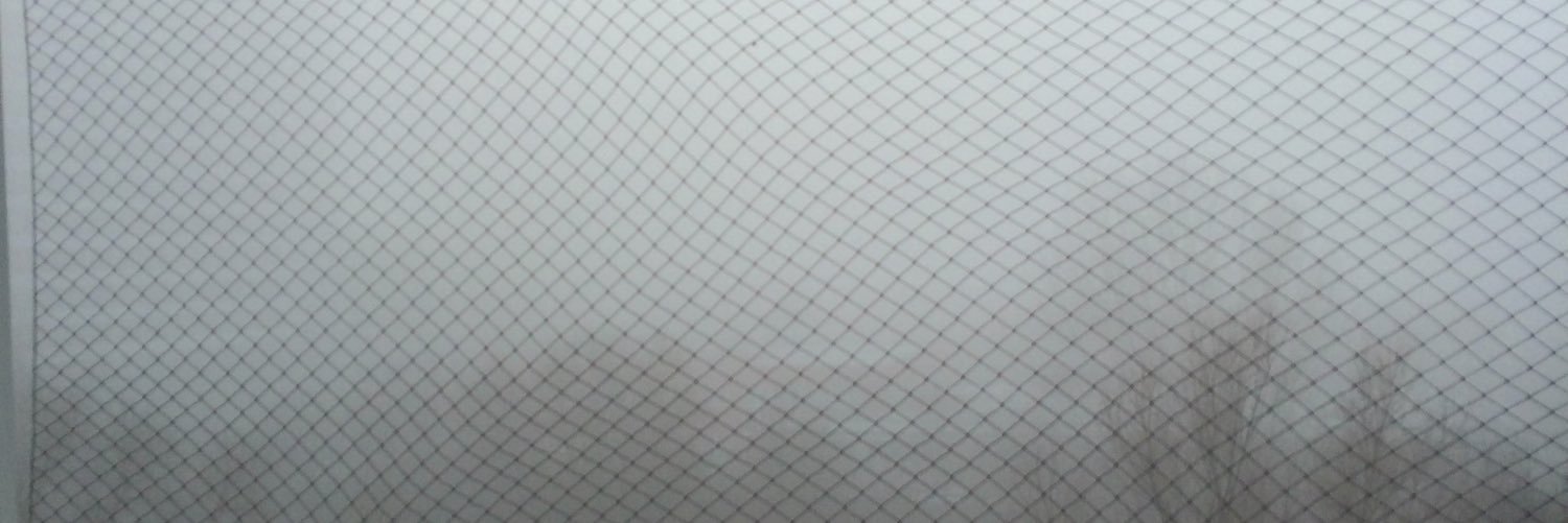 Leila_James's profile banner image