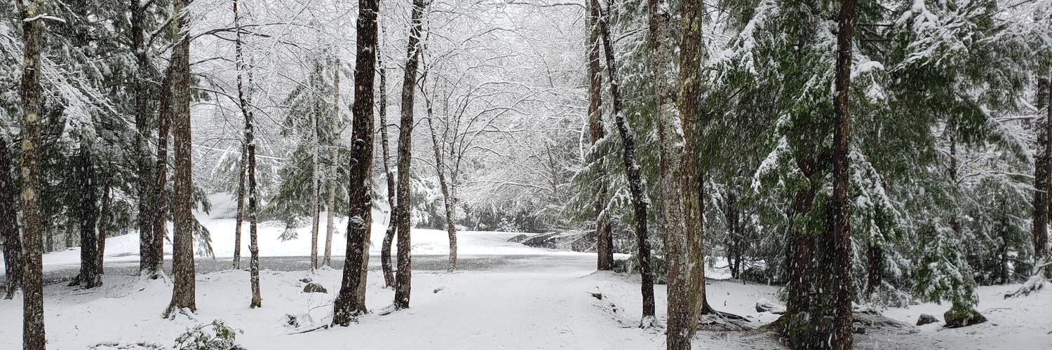 Ryan J Lester banner