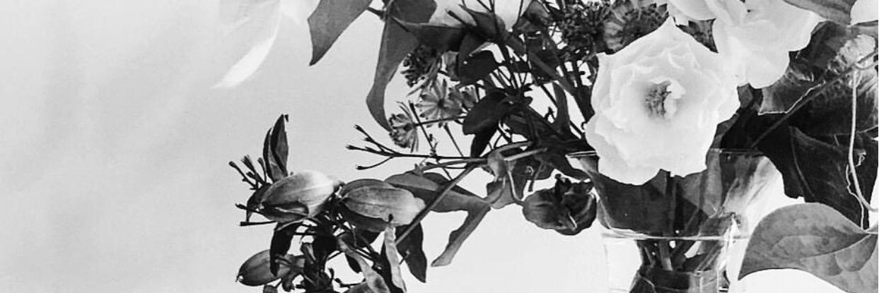 smallfsh's profile banner image