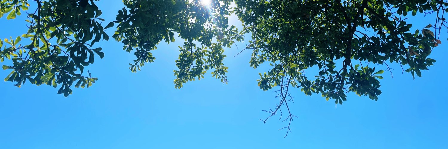 Andrew Callander banner