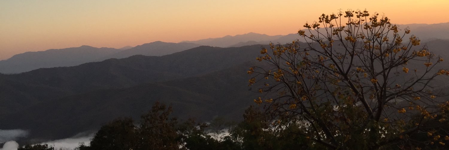 ARTBRABRA's profile banner image