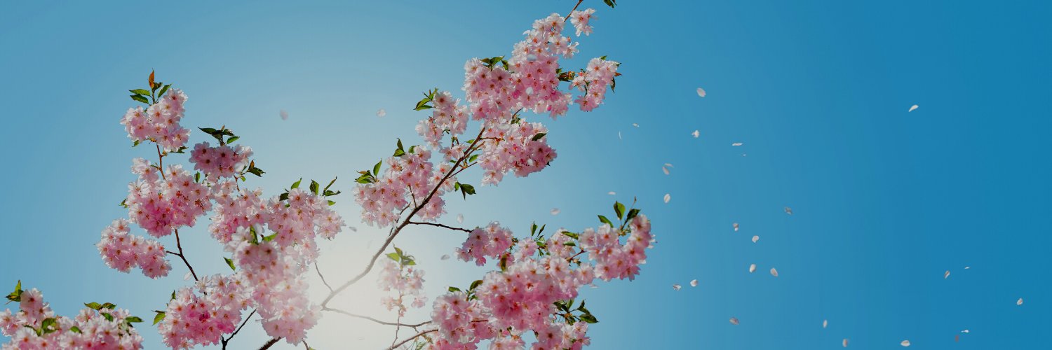 BriGoertzen's profile banner image