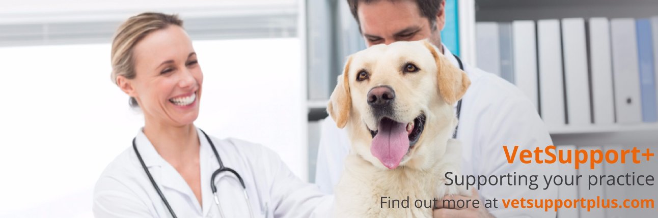 VetSupportPlus's profile banner image