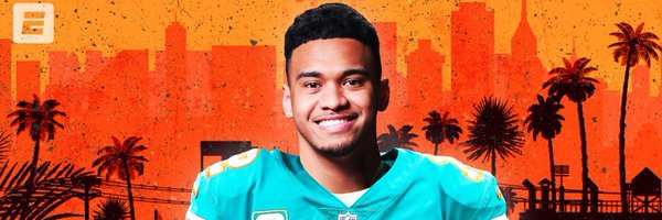 Dolphin Nation Profile Banner