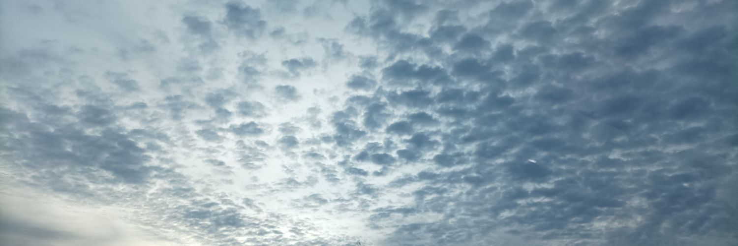 amelia_baay's profile banner image