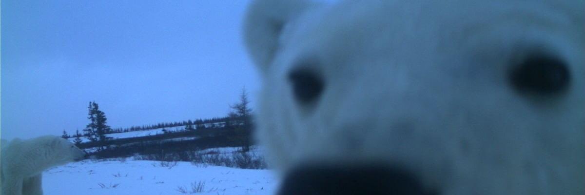 aeonfflux's profile banner image