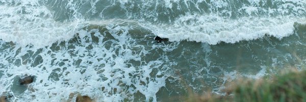 sashimnch Profile Banner