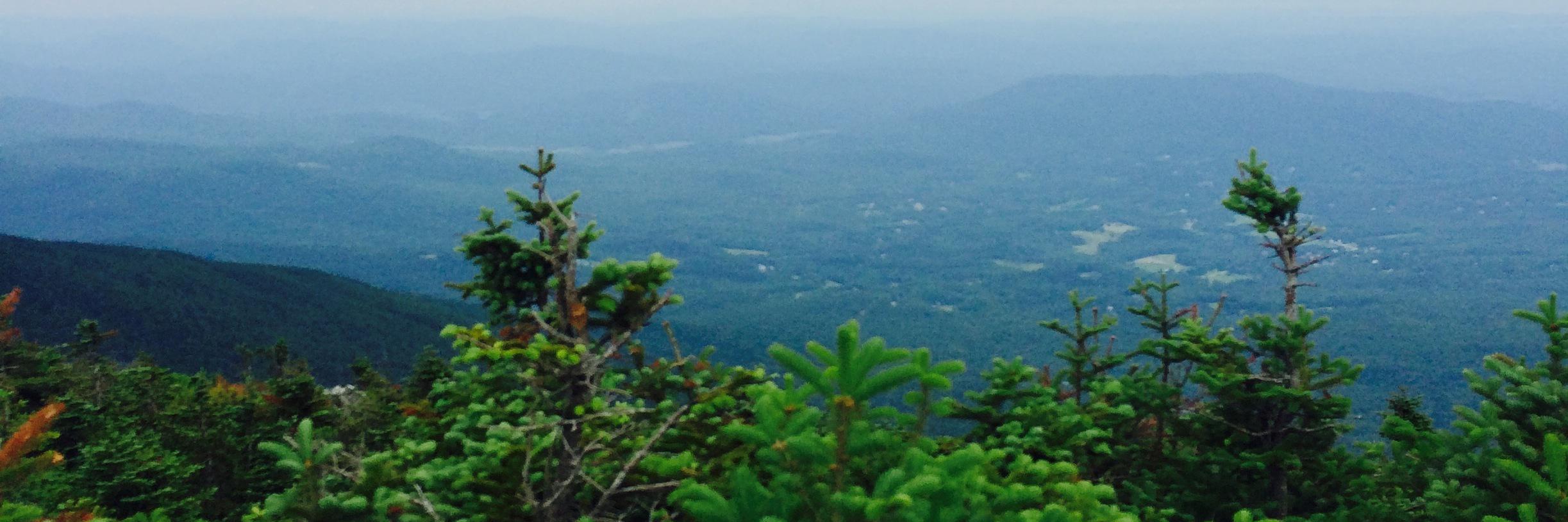 Natasha Tamaskar banner