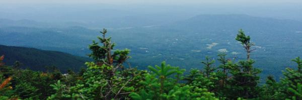 ntamaskar Profile Banner