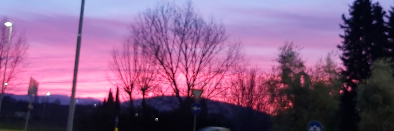 gninna's profile banner image