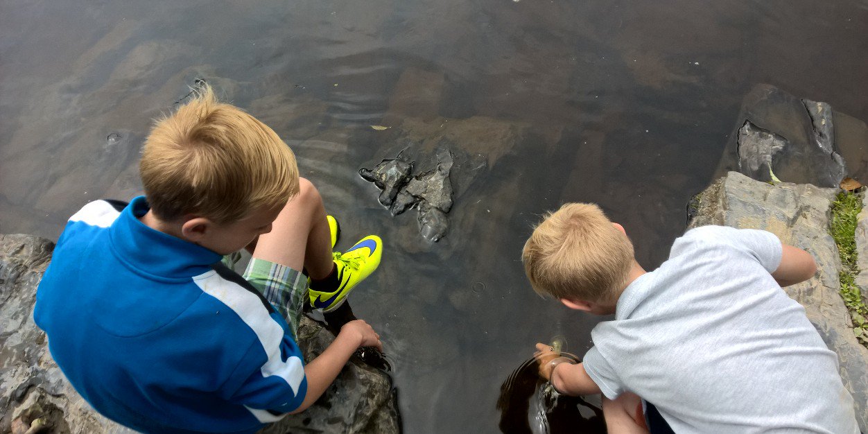 Terimarie Wilson-Heward banner