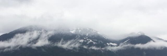 vicyhenderson's profile banner image
