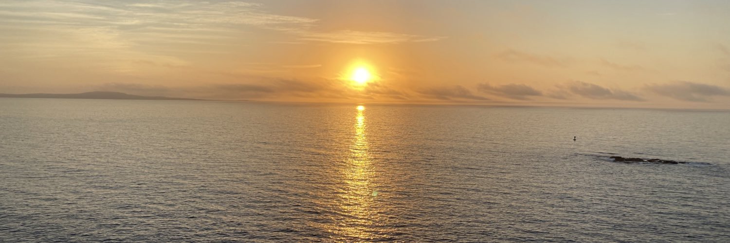IBidYouABrew's profile banner image