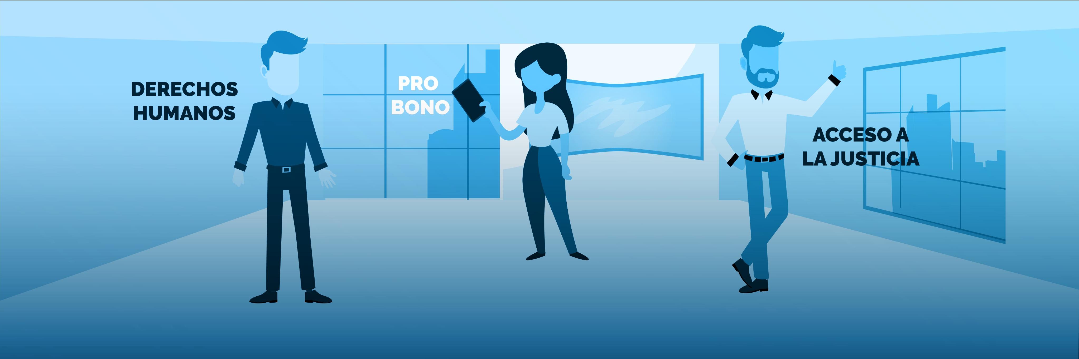 Fundación ProVene banner