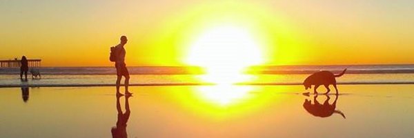 RonParanoia Profile Banner