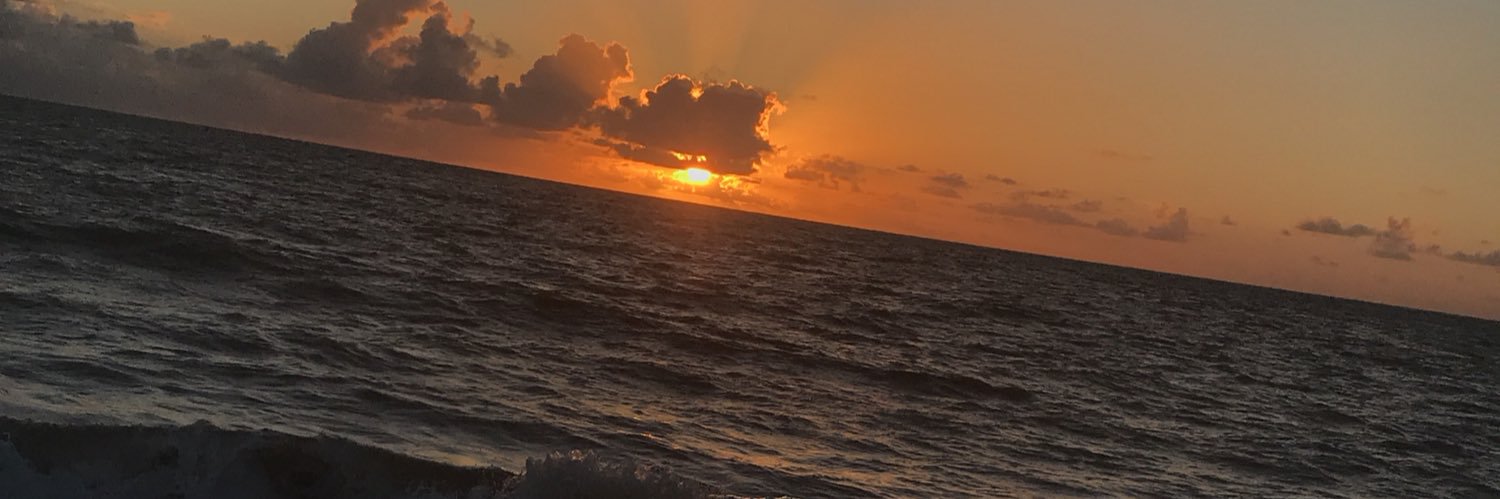 walterubiratan's profile banner image