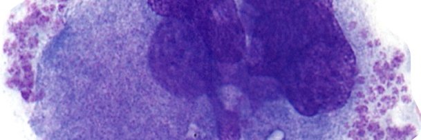 Beth Psaila's banner