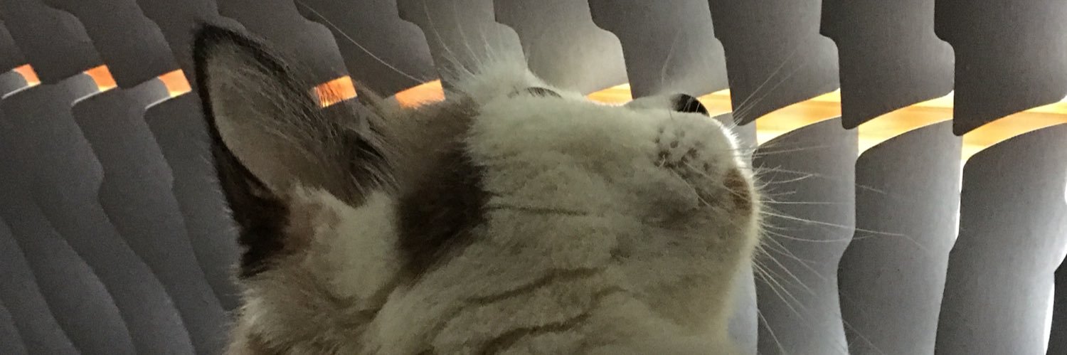 rosapmg's profile banner image