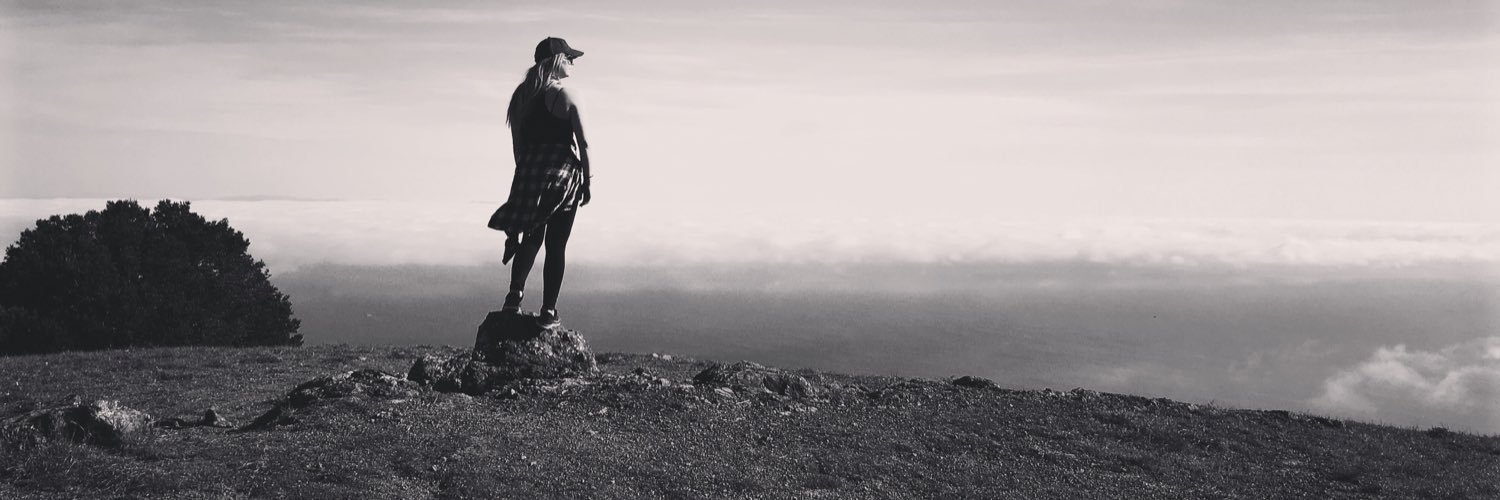 haylvogt's profile banner image