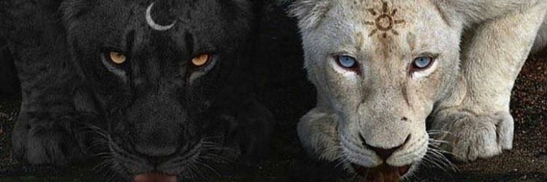 @Nurbanu_Sultan1453 banner