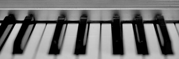 Mathieu Bellisario banner