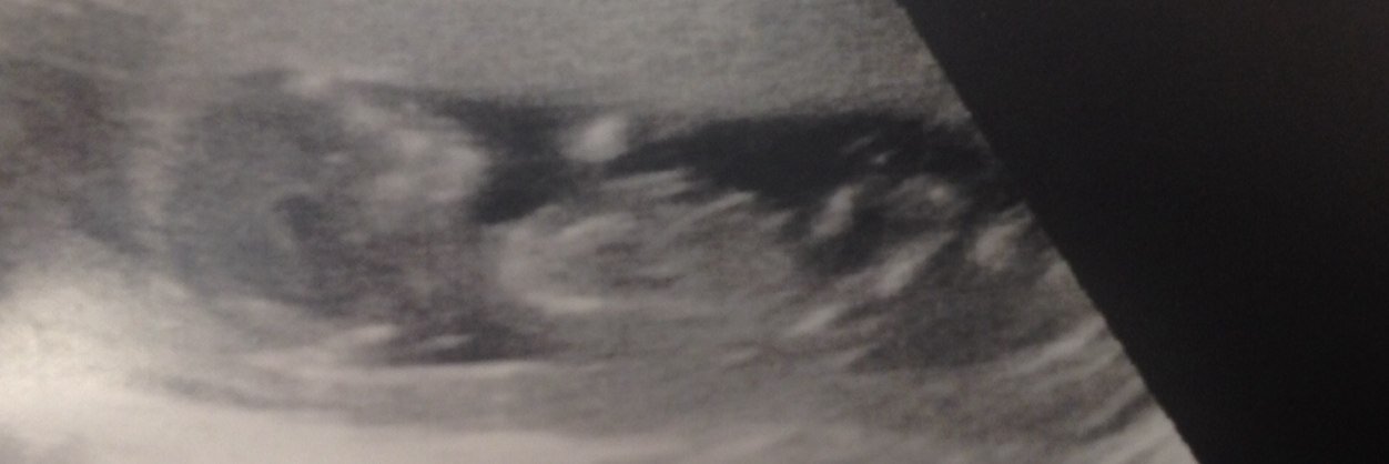 tabihelm's profile banner image