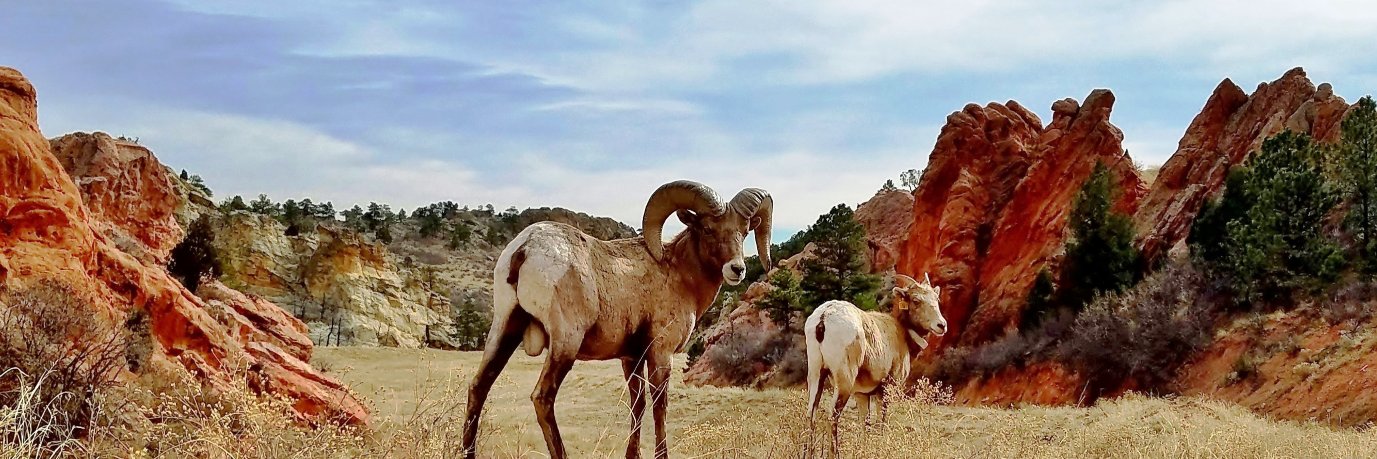 CPW SE Region banner