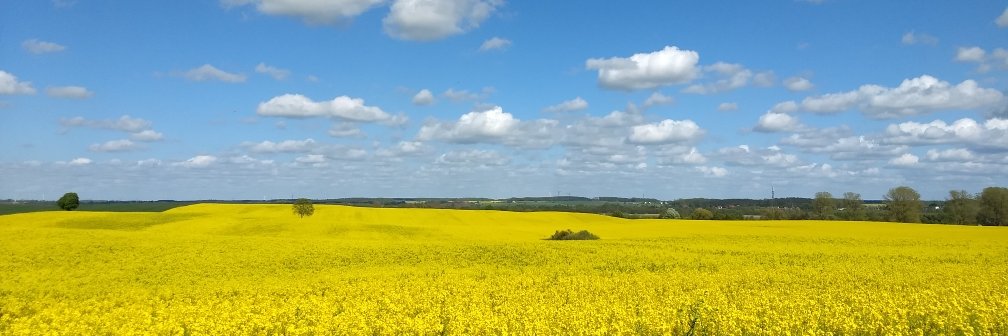 Büro für besondere Maßnahmen™ banner
