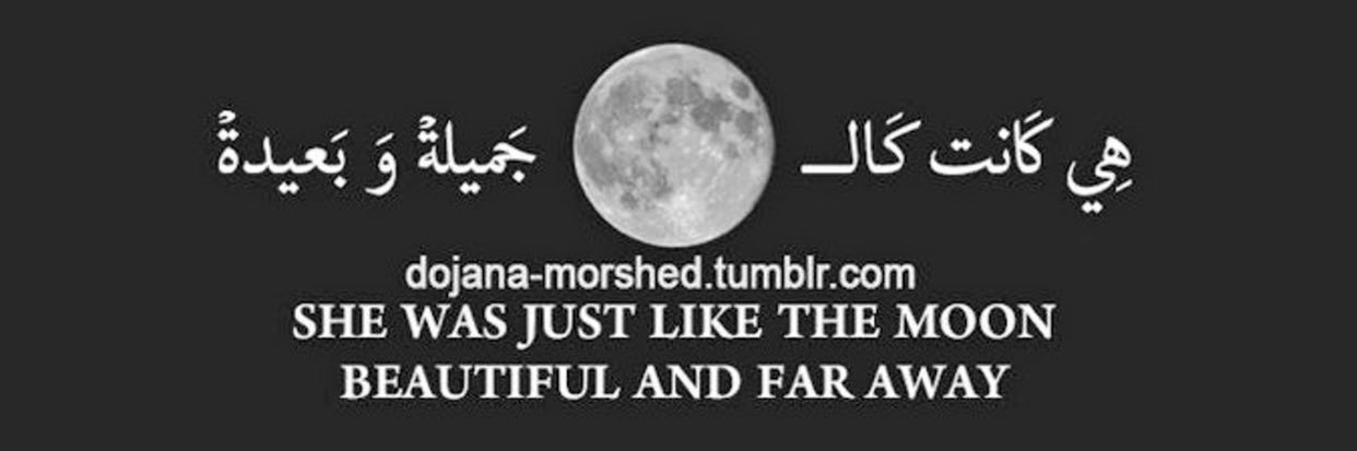 Myd0564's profile banner image