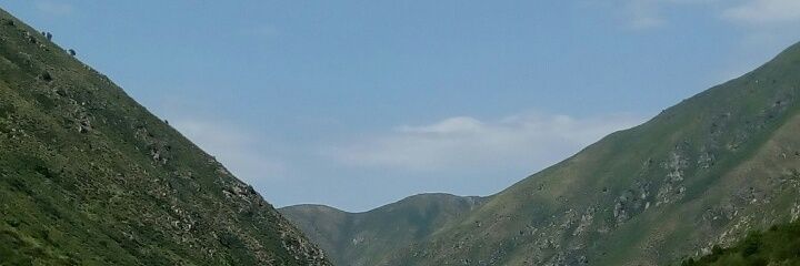 Corneliu Eftodi banner