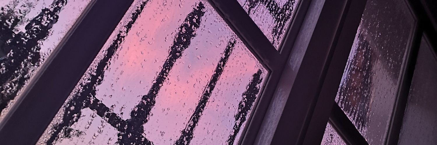 auroria_'s profile banner image