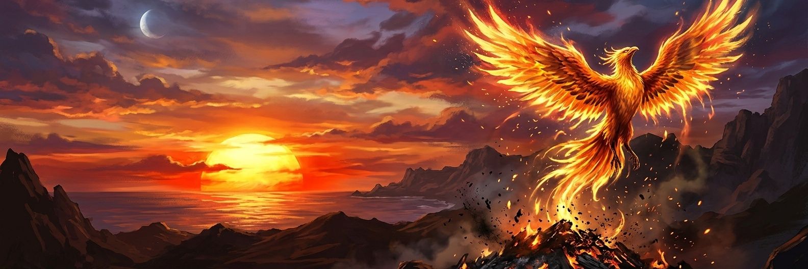 TJKidney's profile banner image