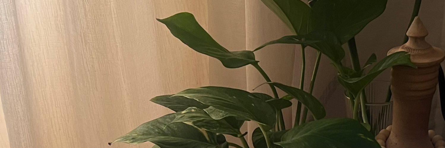 _9rina's profile banner image