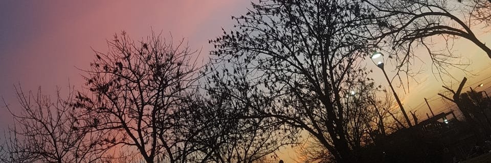 Sol__Lucero's profile banner image