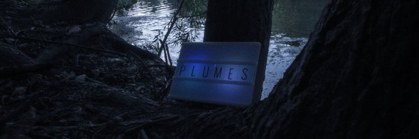 feathervane Profile Banner