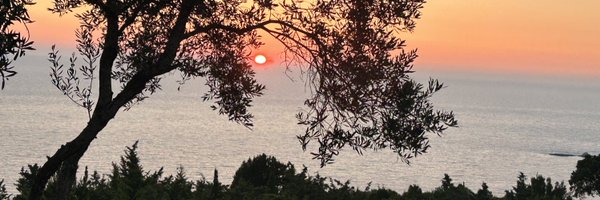 turc_cal Profile Banner