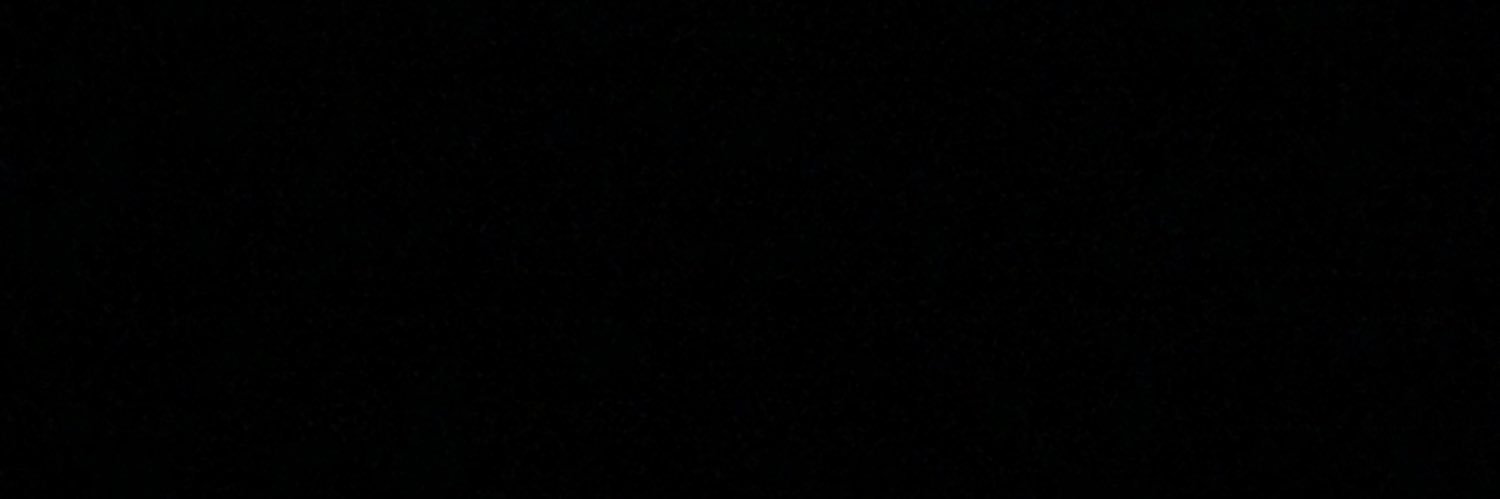 _sydneyraines's profile banner image