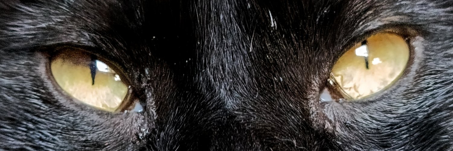 manukaraim's profile banner image