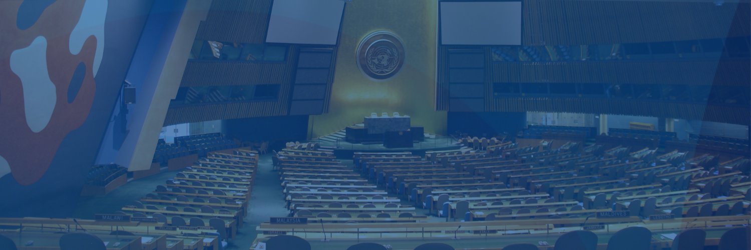 International IDEA @ the UN banner