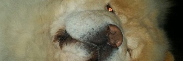 bamanda1214 Profile Banner