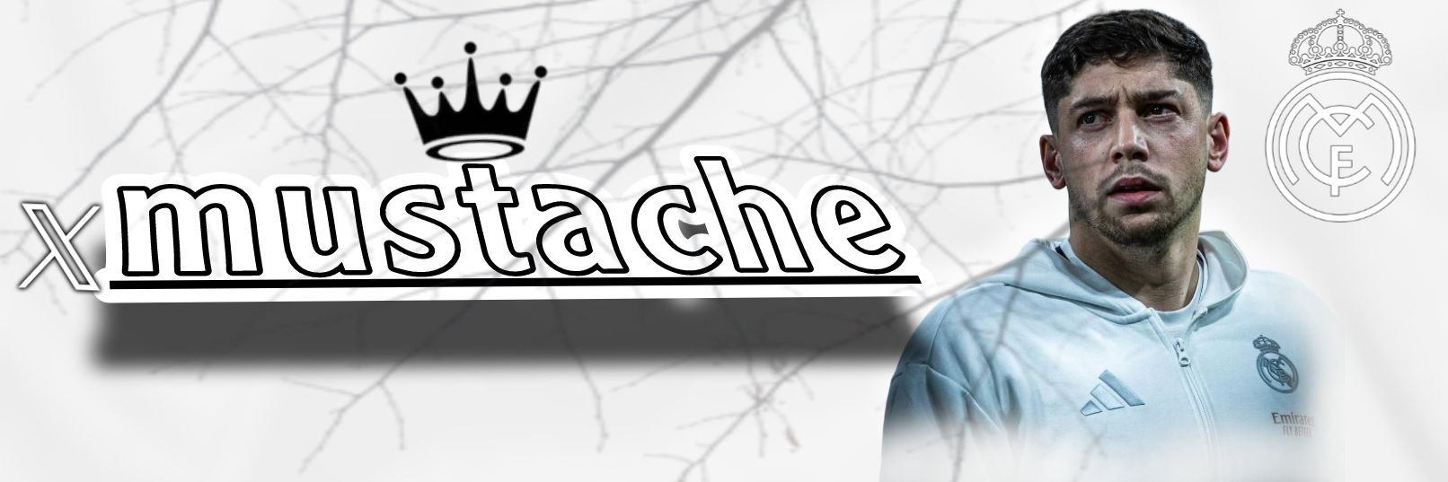 mustache banner