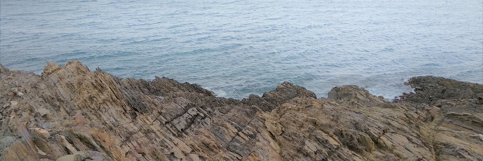 Mireia Graells banner
