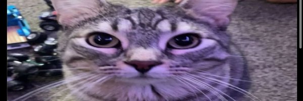 zhaovan8 Profile Banner
