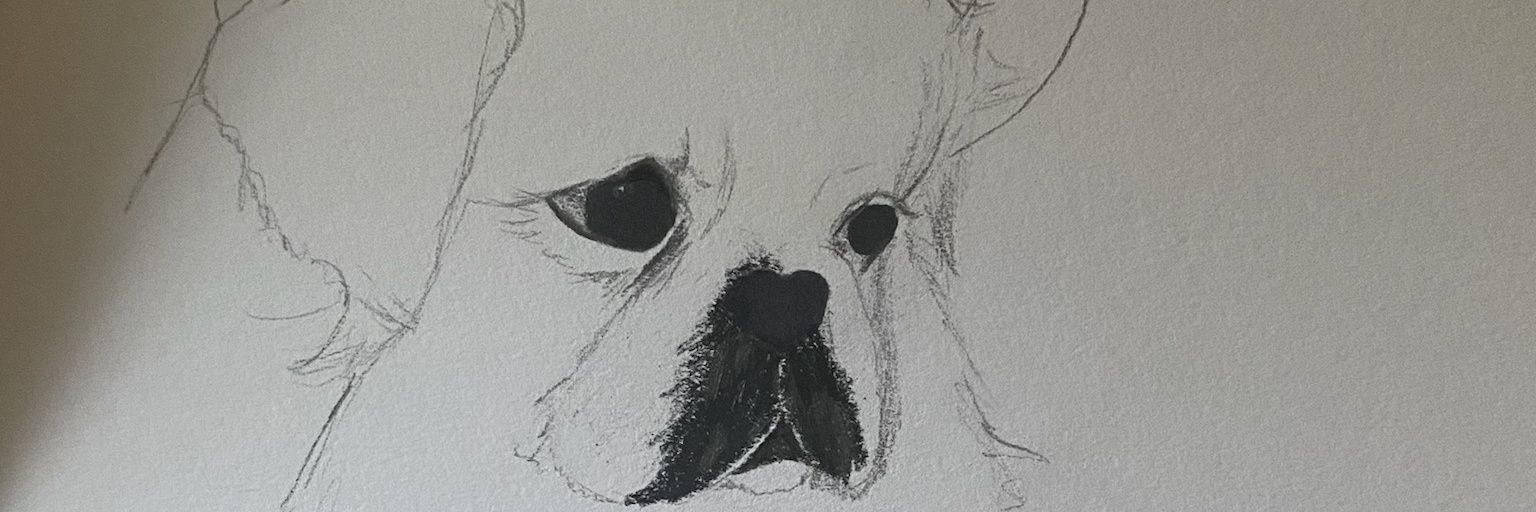 🇺🇸🍊formerly @frankybean🍊🇺🇸 banner