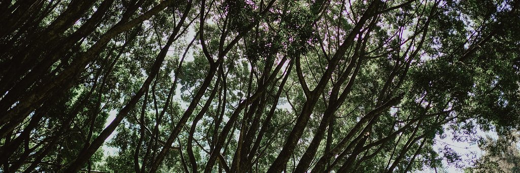Andrés Preciado banner