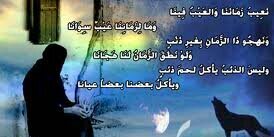 aribaldar1's profile banner image
