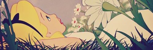 taylormbrandon's profile banner image
