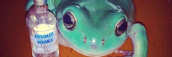 nattanswanson's profile banner image