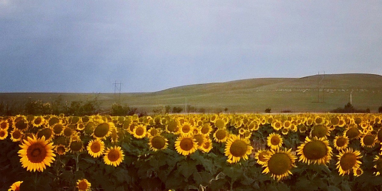 AubreysBored's profile banner image